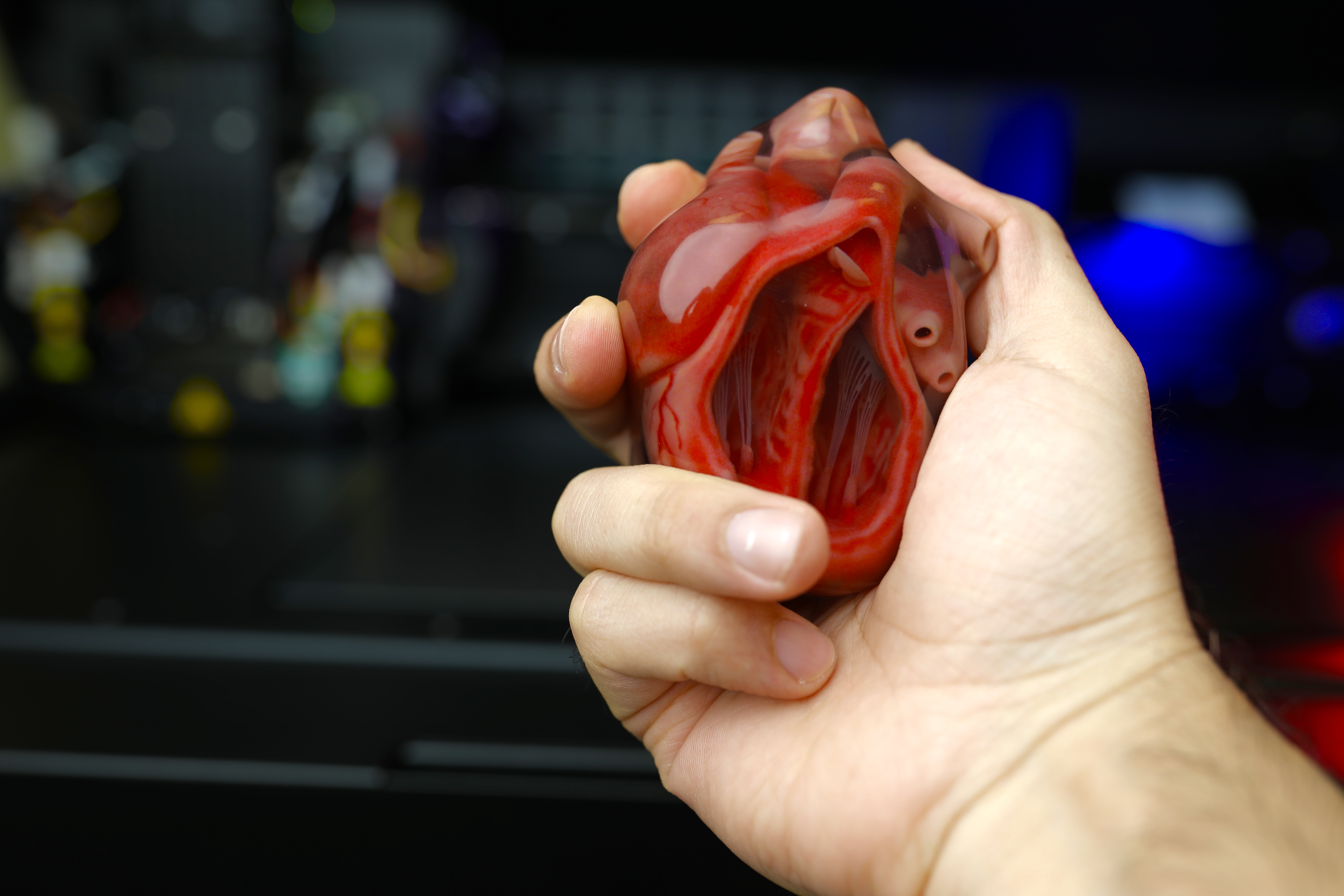 有史以来印刷的最好的全彩色3D心脏